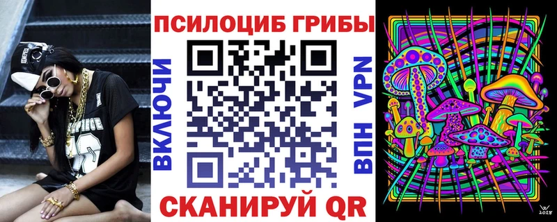 где купить наркоту Озёры Псилоцибиновые грибы Magic Shrooms